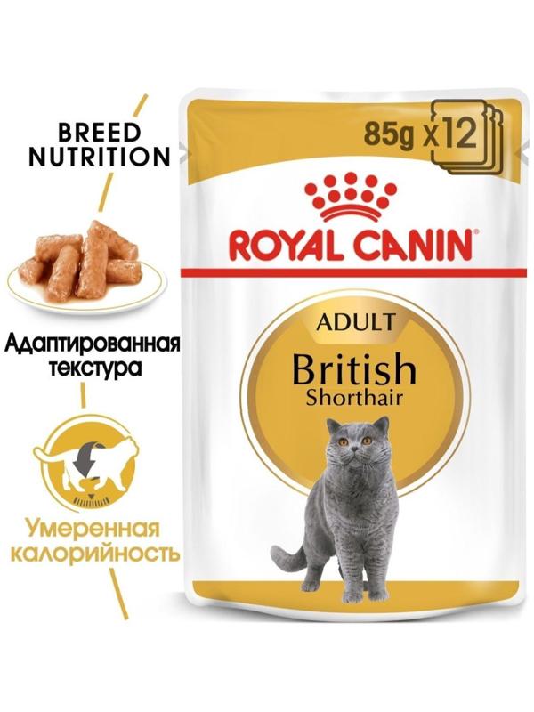 Влажный корм RC для британских кошек, соус, пауч, 85 г