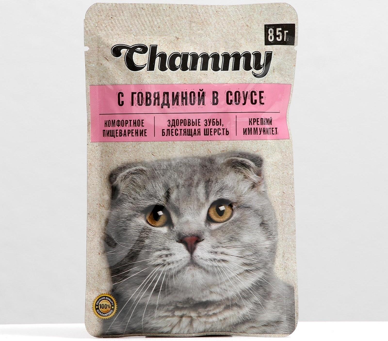 Влажный корм Chammy для кошек, говядина, кусочки в соусе, пауч, 85 г