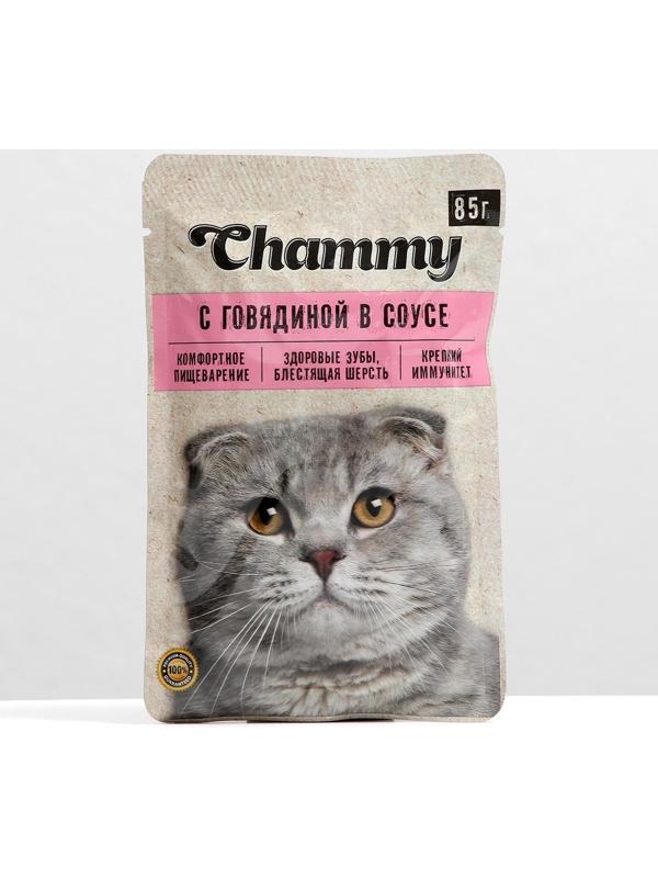 Влажный корм Chammy для кошек, говядина, кусочки в соусе, пауч, 85 г