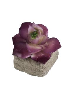 Цветок искусственный декоративный Розовый Суккулент в кашпо/8см арт.88211