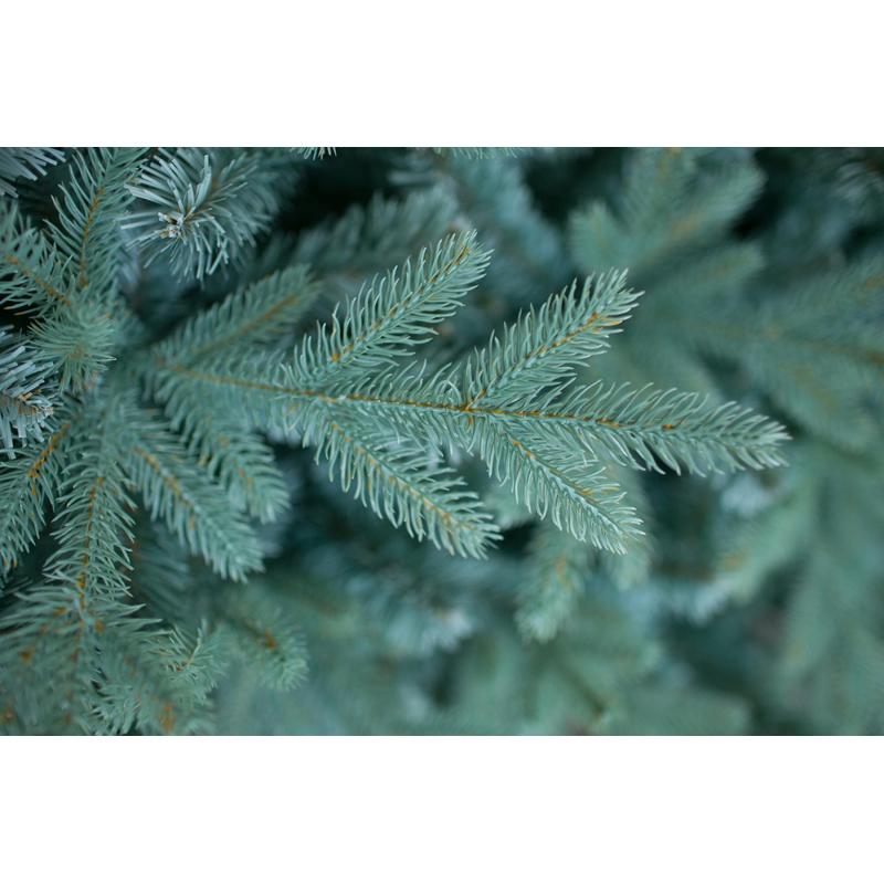 Елка искусственная Россо Премиум 1,5м литая резина/ПВХ, изумр-зелен 300-593