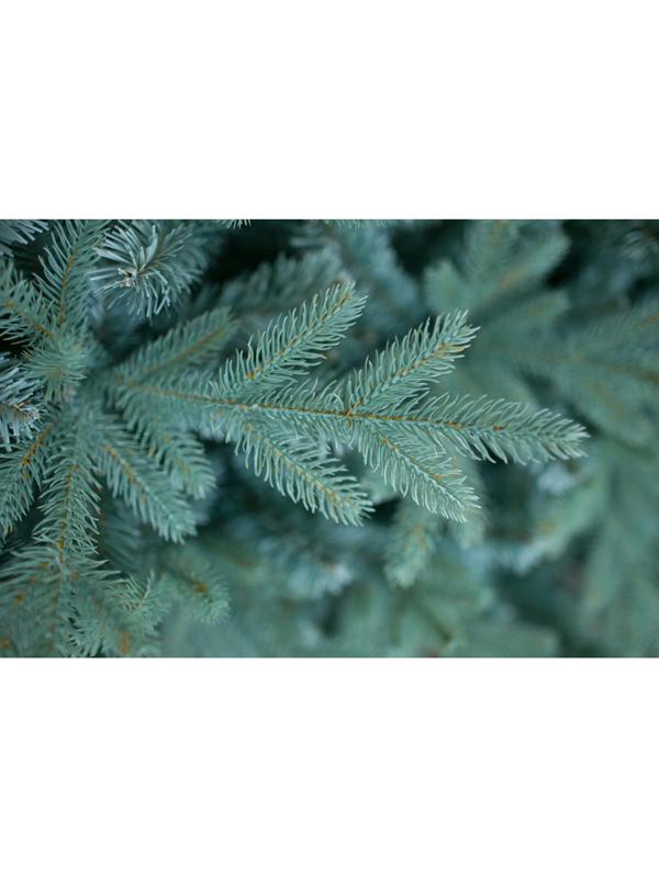 Елка искусственная Россо Премиум 1,5м литая резина/ПВХ, изумр-зелен 300-593