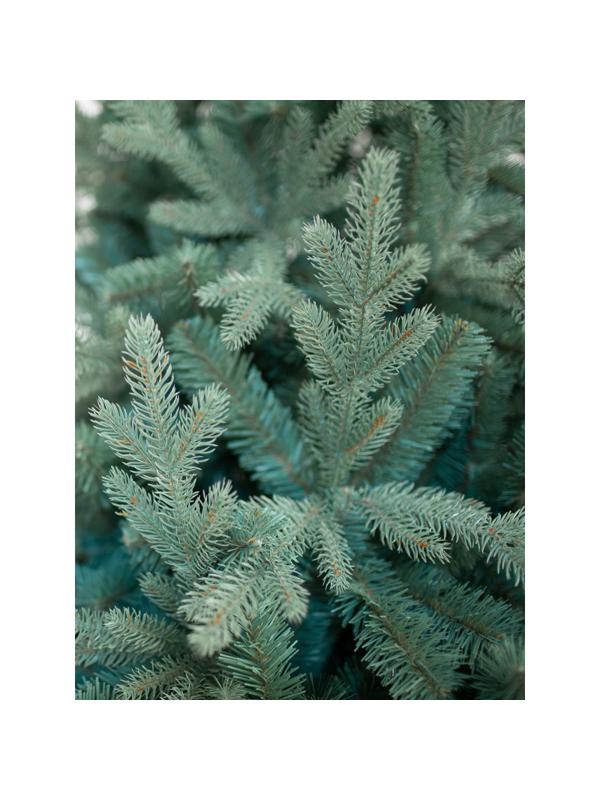 Елка искусственная Россо Премиум 1,5м литая резина/ПВХ, изумр-зелен 300-593