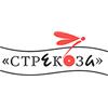 Стрекоза